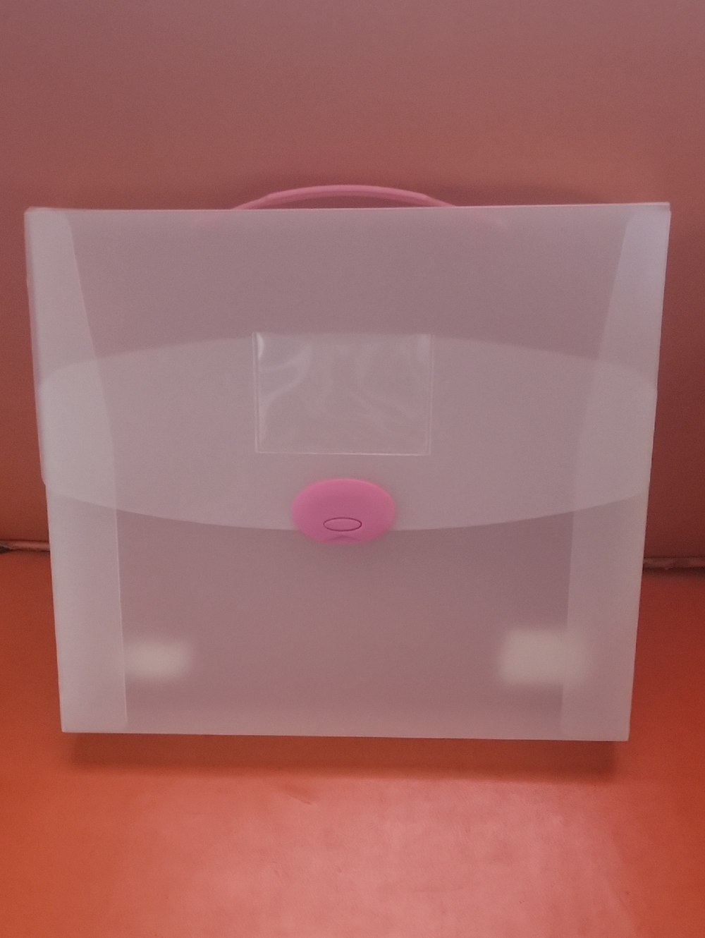 Pink-Accent Clear Plastic Document Organizer